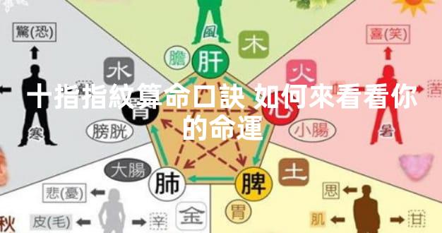 十指指紋算命口訣 如何來看看你的命運